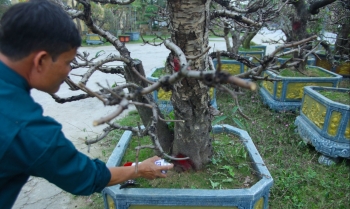 Sau Tết nghề này hót nhất chi tiền triệu phải nói khó mới nhận