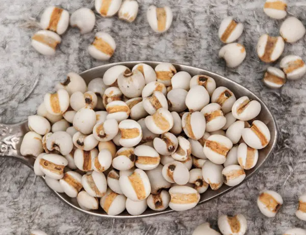 Bạn có thể dùng hạt bo bo như thực phẩm hoặc dược phẩm