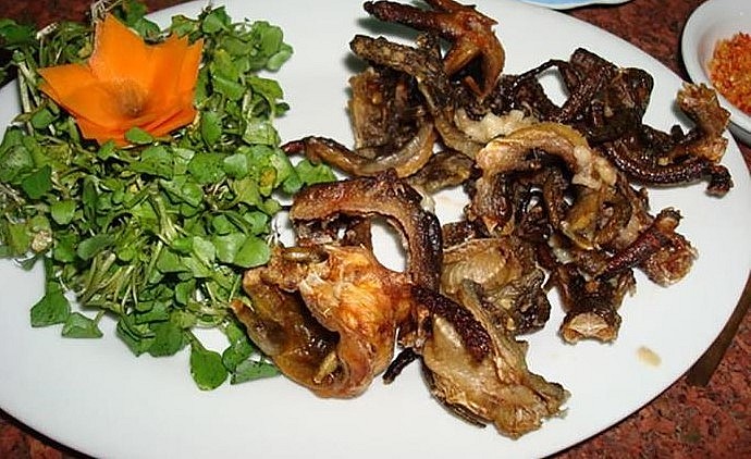 Những món ăn từ thằn lằn núi được nhiều người tìm mua dù giá rất đắt.