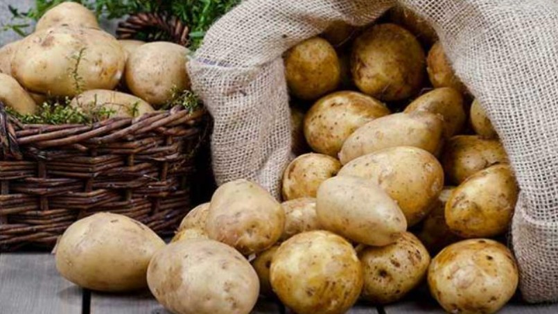 Loại củ bề ngoài "xấu xí" nhưng giàu sắt gấp 3 lần thịt gà