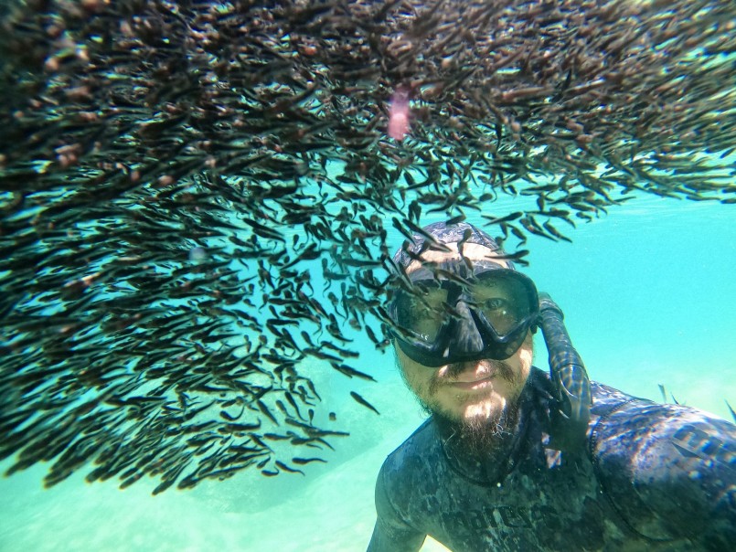 Vùng biển Đề Ghi - Vũng Bồi có nhiều cá và san hô