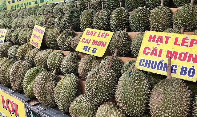 Thị trường trong nước chủ yếu bán trái sầu riêng không đạt chuẩn xuất khẩu và cũng rất khan hiếm.