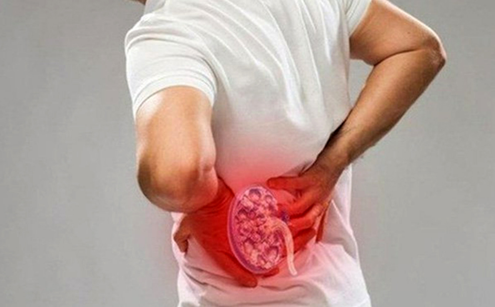 Loại hoa thường cắt bỏ đi sấy khô thành đặc sản 1,5 triệu/kg