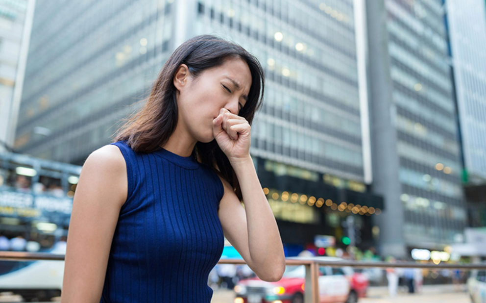 Loại hoa thường cắt bỏ đi sấy khô thành đặc sản 1,5 triệu/kg