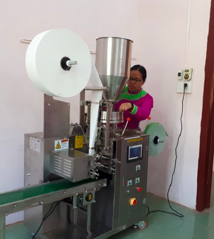 Trồng loại cây trước ít ai ngó ngàng, người nông dân thu tiền tỷ mỗi vụ Trồng loại cây trước ít ai ngó ngàng, người nông dân thu tiền tỷ mỗi vụ