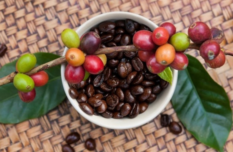 Giá nông sản hôm nay (13/2) những thông tin tích cực tiếp tục hỗ trợ giá cà phê. Giá nông sản hôm nay (13/2) những thông tin tích cực tiếp tục hỗ trợ giá cà phê.