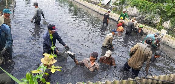 Mô hình nuôi ba ba của gia đình anh Bùi Văn Khả
