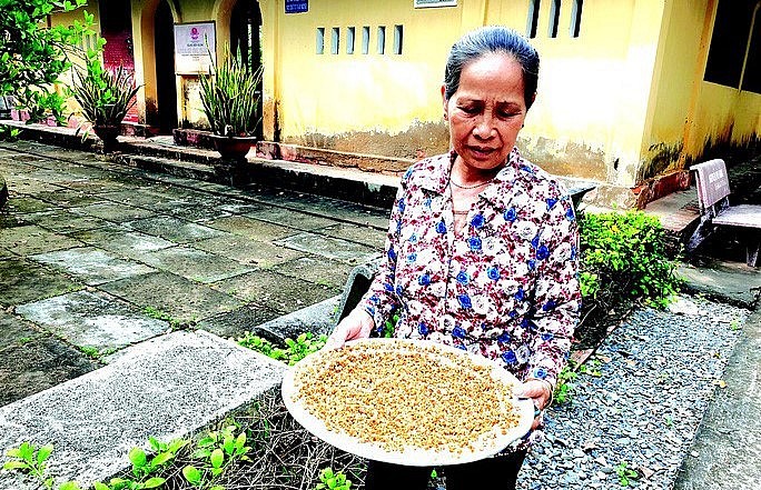 Người dân địa phương nhặt những cánh mai rụng từ bạch mai cổ thụ đem phơi khô để ướp trà. Người dân địa phương nhặt những cánh mai rụng từ bạch mai cổ thụ đem phơi khô để ướp trà.