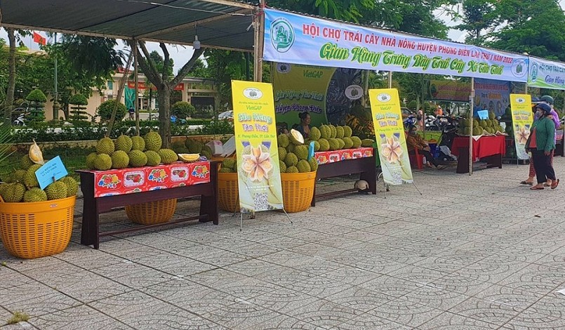 Cần đa dạng hoa các kênh tiêu thụ sầu riêng, tránh lệ thuộc vào thị trường Trung Quốc để đảm bảo tiêu thụ bền vững. Cần đa dạng hoa các kênh tiêu thụ sầu riêng, tránh lệ thuộc vào thị trường Trung Quốc để đảm bảo tiêu thụ bền vững.