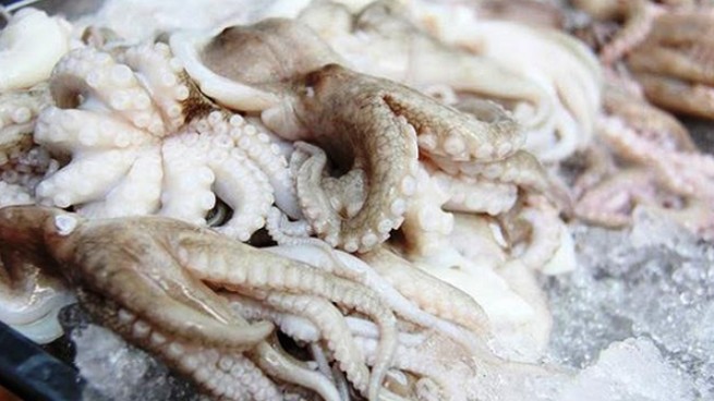 Nhật Bản tăng 77% khối lượng nhập khẩu bạch tuộc đông lạnh Việt Nam