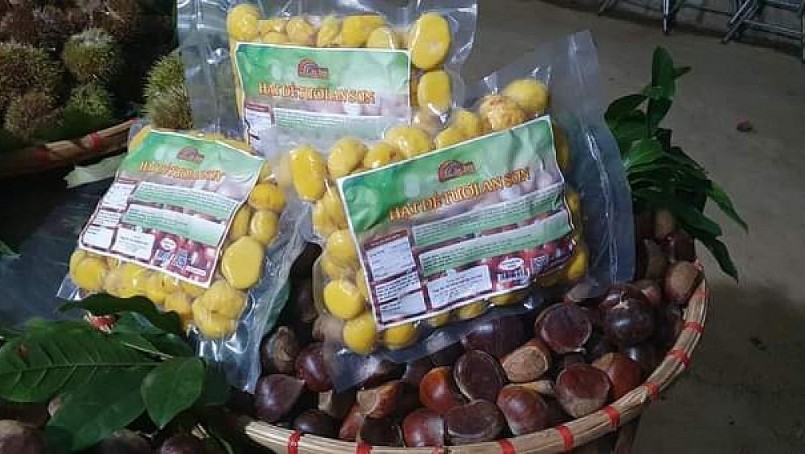 Hạt dẻ được chế biến thành các món ăn đa dạng nên có giá bán cao, đem lại nguồn thu nhập ổn định cho người dân. Hạt dẻ được chế biến thành các món ăn đa dạng nên có giá bán cao, đem lại nguồn thu nhập ổn định cho người dân.