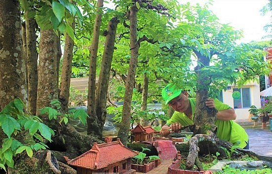 Ông Sanh còn tạo nhiều tiểu cảnh phía dưới gốc cây khế cổ thụ 19 thân để thu hút người xem. Ông Sanh còn tạo nhiều tiểu cảnh phía dưới gốc cây khế cổ thụ 19 thân để thu hút người xem.