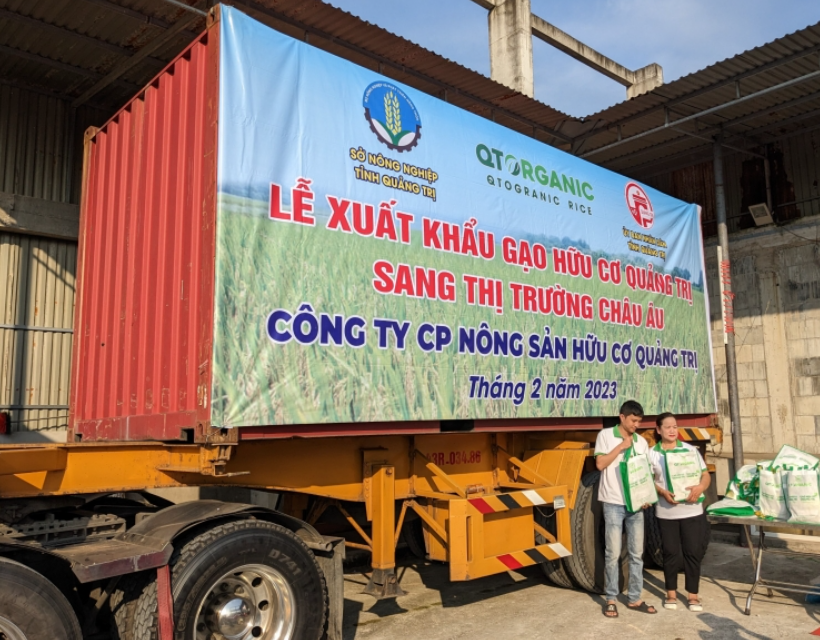 Lô gạo hữu cơ Quảng Trị đầu tiên xuất sang thị trường châu Âu