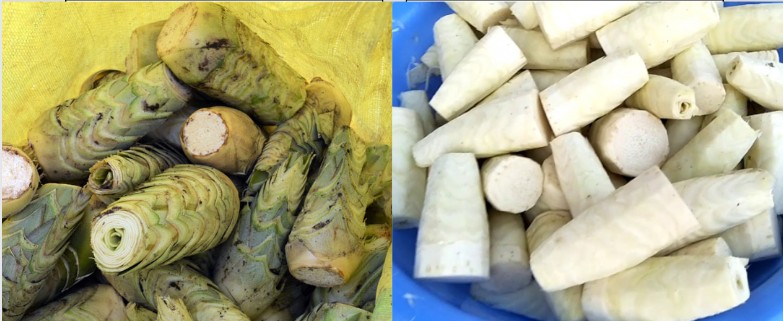 Thứ tưởng chừng vứt đi của cây dứa nhưng lại là món ăn đặc sản nổi tiếng Hậu Giang