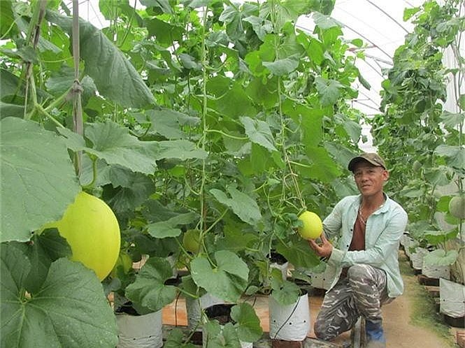 Quỹ Hỗ trợ nông dân Quỹ Hỗ trợ nông dân