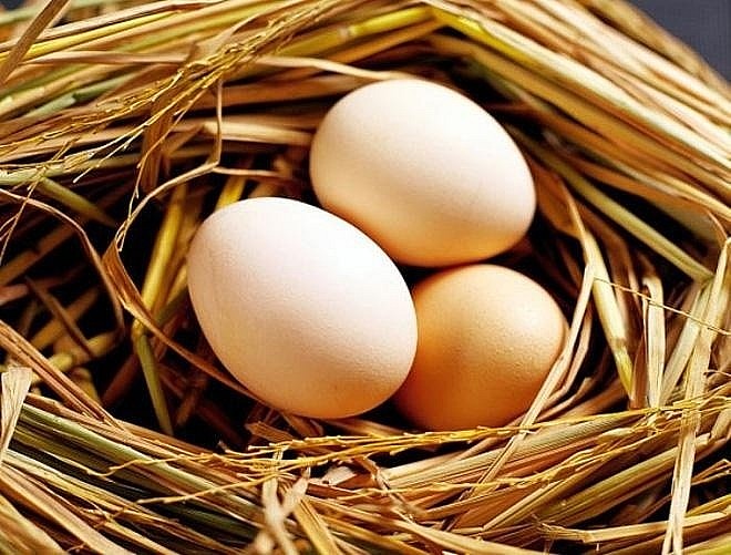 Trứng là thực phẩm được nhiều người lựa chọn