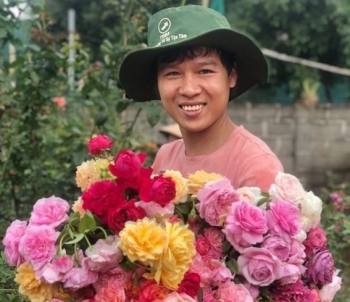 Bỏ phố về quê trồng loài hoa biểu tượng của tình yêu, 9x bỏ túi nửa tỷ mỗi năm