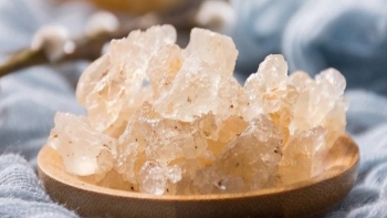 Nhựa cây gum có gì đặc biệt mà được ví như tổ yến thực vật, giá tiền triệu mỗi kg vẫn được săn lùng