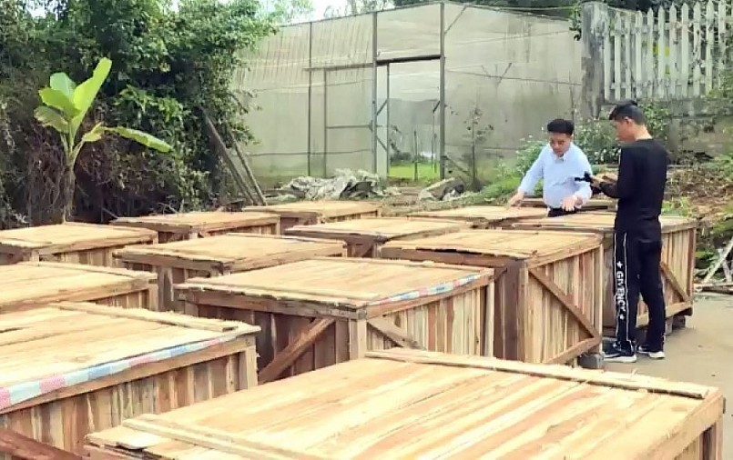 Đóng gói lô hàng đậu đũa ngâm muối để xuất khẩu. Đóng gói lô hàng đậu đũa ngâm muối để xuất khẩu.