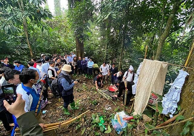 Nghi lễ cúng rừng được thực hiện ngay trong khu vực rừng cấm tại địa phương. Lễ vật sẽ được người dân long trọng rước lên nơi thực hiện nghi lễ. Ảnh minh họa.