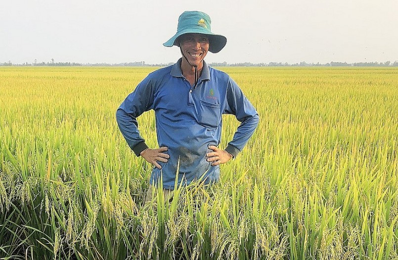 Nụ cười của tỷ phú nông dân trên cánh đồng lúa vàng bỏ lại đằng sau bao nỗi vất vả.