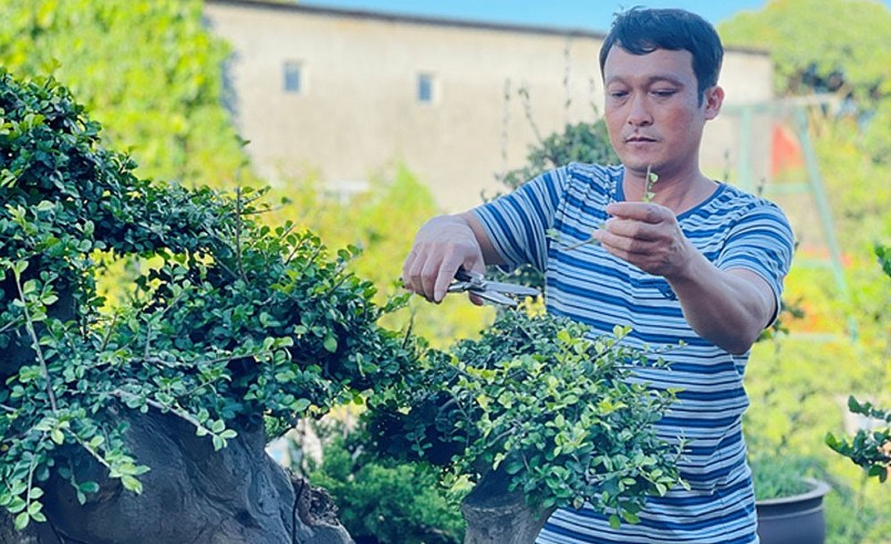 Từ niềm đam mê cây cảnh ông Phúc đã tìm tòi học hỏi để làm giàu từ thú chơi này.