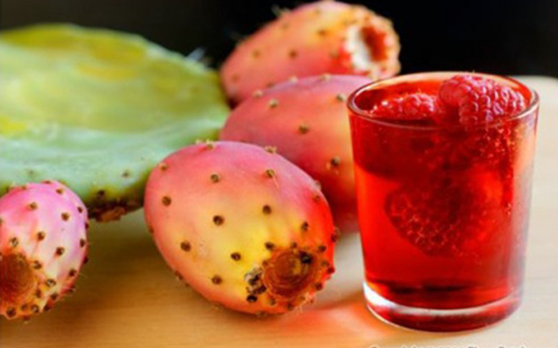 Quả dại 90% người Việt nghĩ không ăn được, không ngờ là trái cây cao cấp ở nước ngoài Quả dại 90% người Việt nghĩ không ăn được, không ngờ là trái cây cao cấp ở nước ngoài