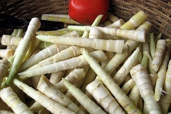 Măng tươi lấy từ rừng để nấu xôi