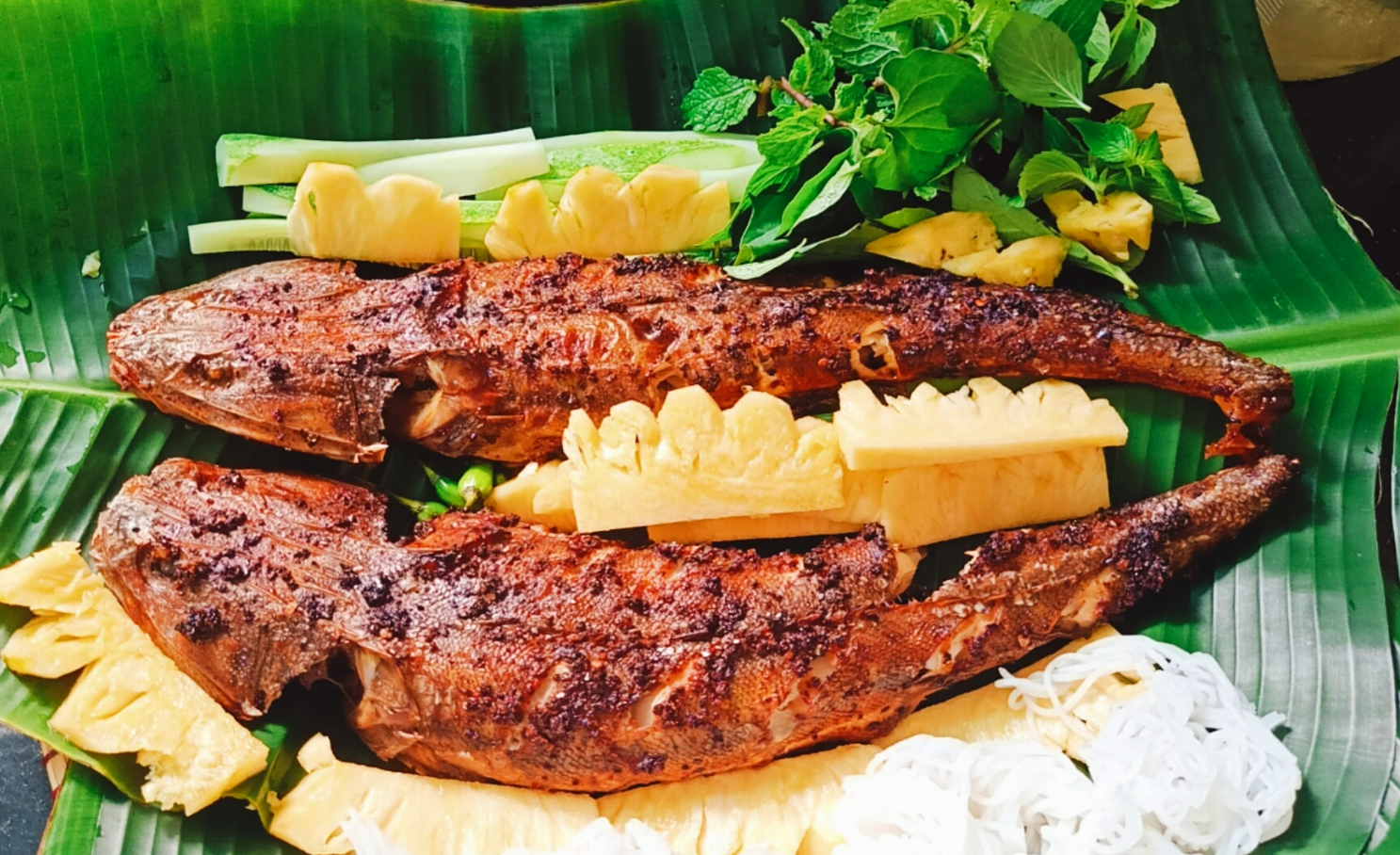 Loại cá có hình dáng xấu xí xưa ít người biết, giờ thành đặc sản được chị em nội trợ "săn lùng"