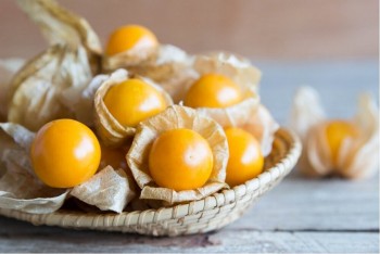 Bí mật đằng sau cái tên độc và lạ “quả lồng đèn”