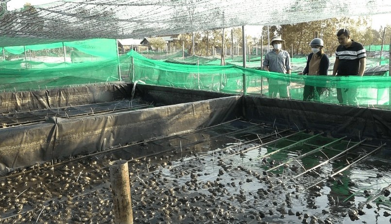 Trại nuôi ếch của HTX TN Bình Giang hiện có 14 hồ nuôi được che chắn cẩn thận. Trại nuôi ếch của HTX TN Bình Giang hiện có 14 hồ nuôi được che chắn cẩn thận.