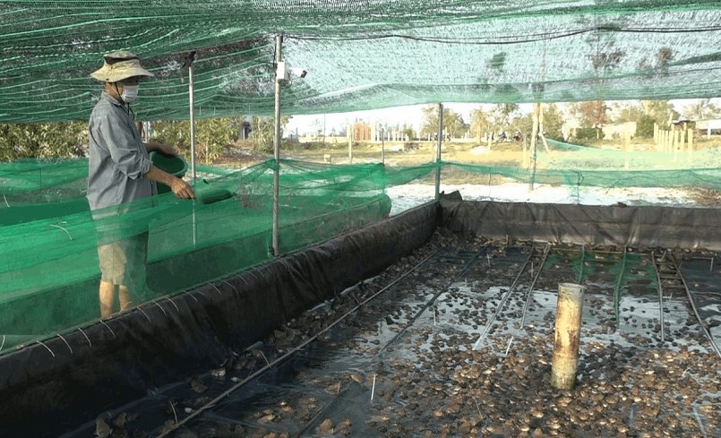 Hợp tác xã Thanh niên Bình Giang lứa đầu tiên cung cấp cho thị trường 5 tấn ếch thương phẩm thu lãi 100 triệu đồng. Hợp tác xã Thanh niên Bình Giang lứa đầu tiên cung cấp cho thị trường 5 tấn ếch thương phẩm thu lãi 100 triệu đồng.