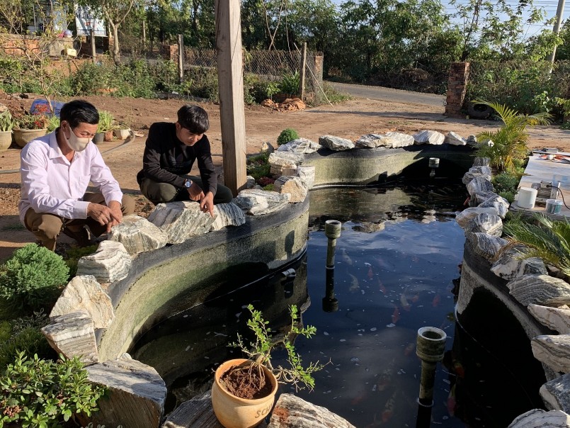 Phạm Thế Hùng tư vấn cách chăm sóc cá Koi cho khách hàng