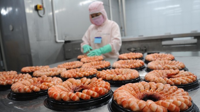 Xuất khẩu tôm sang Nhật Bản vẫn ổn định trong năm 2023