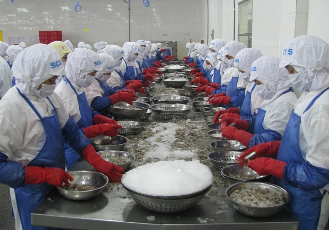 Xuất khẩu tôm sang Nhật Bản vẫn ổn định trong năm 2023