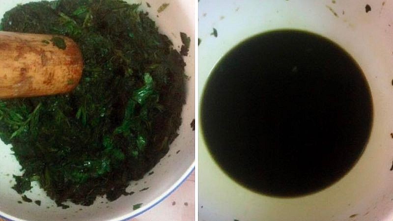 Trị tiêu chảy, đầy bụng bằng cây rau mương