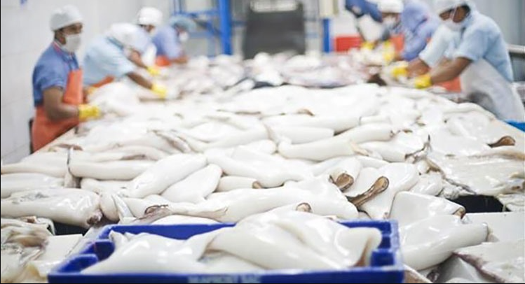 Xuất khẩu mực, bạch tuộc năm 2023 dự kiến tăng khoảng 15%