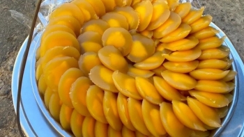 Loài cây 100 năm mới cho bột một lần, làm ra thứ bánh siêu hiếm, ở chợ Châu Đốc chỉ có một người bán