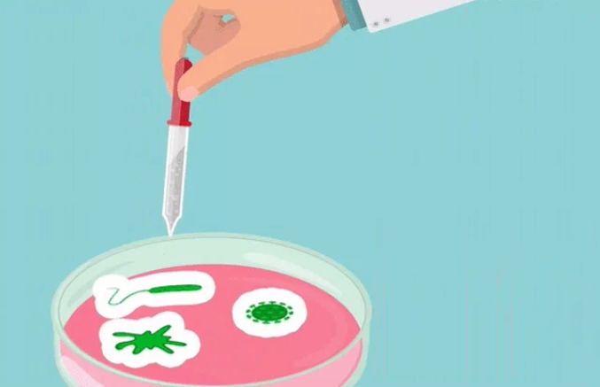 Loại hải sản hiếm ở Việt Nam: Thịt đã quý, máu của chúng còn đắt đỏ hơn nhiều Loại hải sản hiếm ở Việt Nam: Thịt đã quý, máu của chúng còn đắt đỏ hơn nhiều