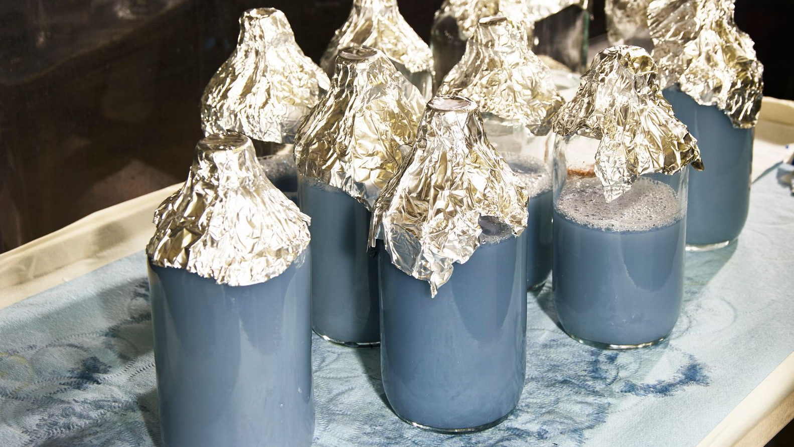 Loại hải sản hiếm ở Việt Nam: Thịt đã quý, máu của chúng còn đắt đỏ hơn nhiều Loại hải sản hiếm ở Việt Nam: Thịt đã quý, máu của chúng còn đắt đỏ hơn nhiều