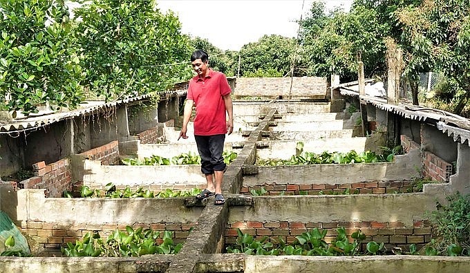 Trại nuôi cua đinh của anh Quan rộng khoảng 1.000 m2 được xây thành hệ thống bể xi măng.