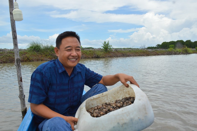 Ông Hoài phấn khởi thu hoạch sò huyết trong vuông tôm Ông Hoài phấn khởi thu hoạch sò huyết trong vuông tôm