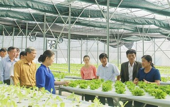 Lên kế hoạch mở rộng kinh tế hợp tác xã tại Thủ đô