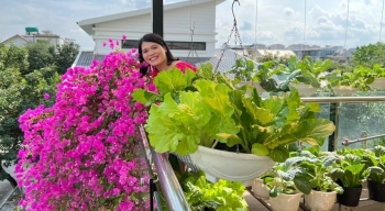 Ngôi nhà hoa hồng và sân thượng đầy rau, nữ 9X Hà Thành lộ tuyệt chiêu làm vườn