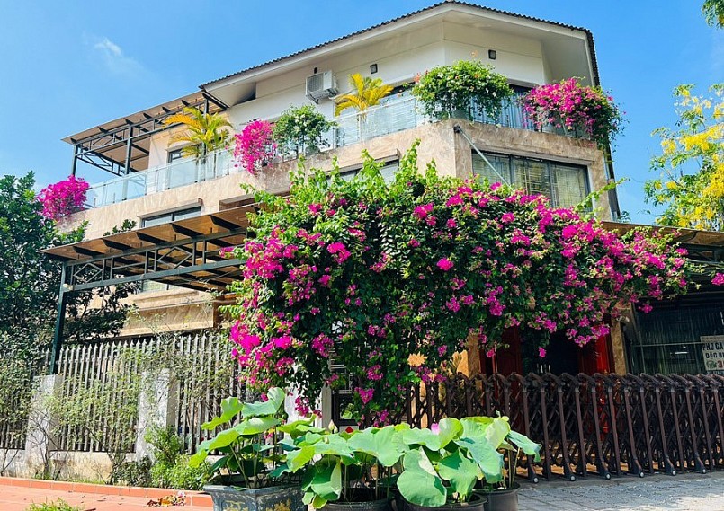 Trong ngôi nhà hoa hồng cũng có thêm nhiều loại hoa khác khỏe sắc.