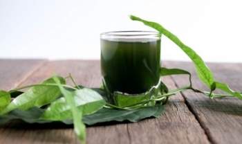 Trồng loại cây đặc biệt nhìn mát mắt, ăn mát ruột lại dễ trồng, dễ bán nông dân hái lá đếm tiền