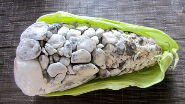 Loại ngô tưởng đầy nấm mốc không ăn được, hóa ra là đặc sản đắt đỏ ít người biết
