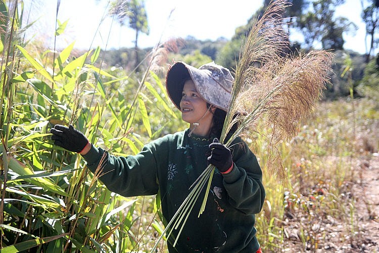 Niềm vui của người đi lấy đót