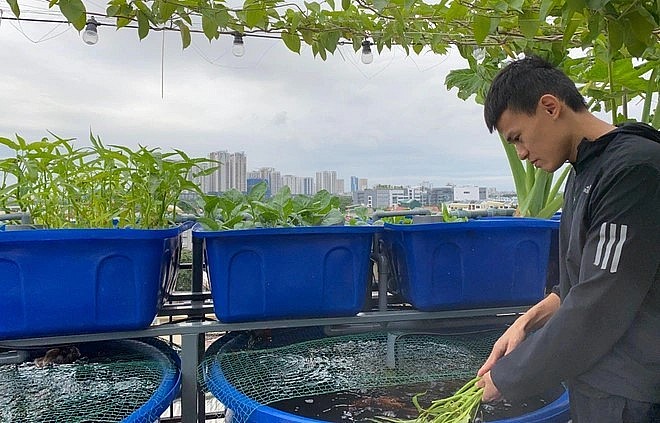 Về thức ăn cho cá, chàng trai trẻ sử dụng cám hỗn hợp cao cấp chuyên dành cho nuôi cá tra, cá diêu hồng xuất khẩu. 