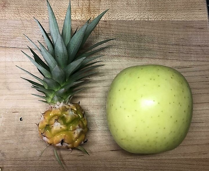 Nghe nói dứa rất tốt để giảm cân, thành quả cả năm trời đấy ạ.